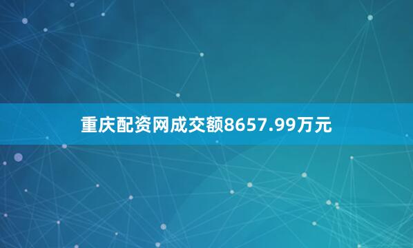 重庆配资网成交额8657.99万元