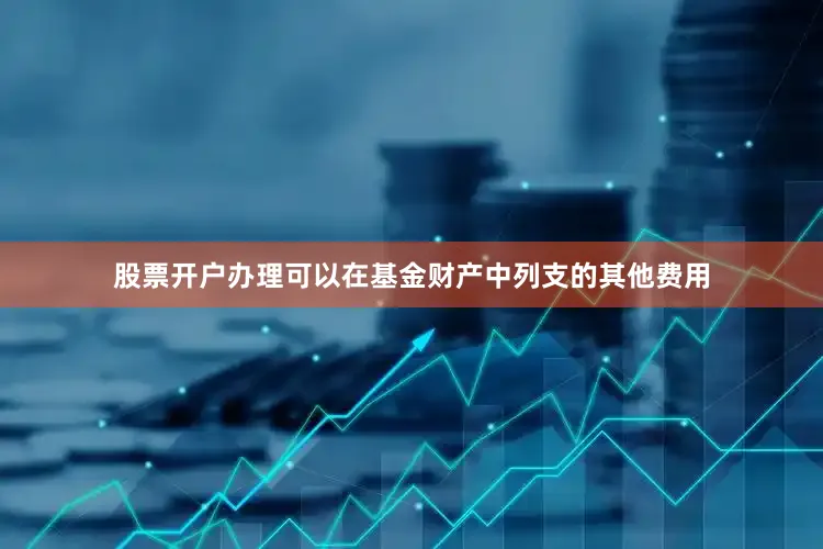 股票开户办理可以在基金财产中列支的其他费用