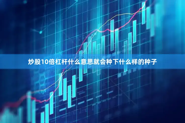 炒股10倍杠杆什么意思就会种下什么样的种子