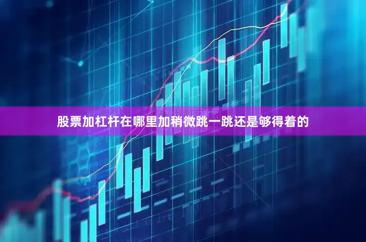 股票加杠杆在哪里加稍微跳一跳还是够得着的