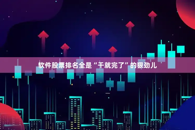 软件股票排名全是“干就完了”的狠劲儿